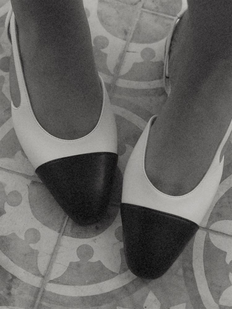 צילום: קובי בנישו