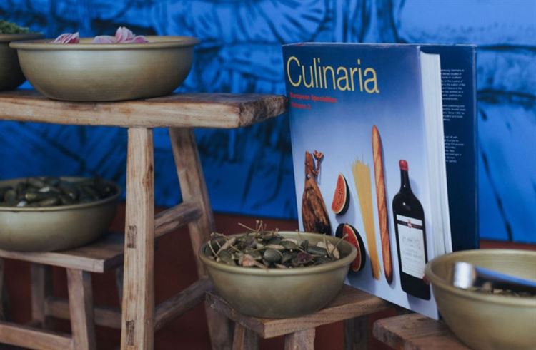 צילום: שני רייך