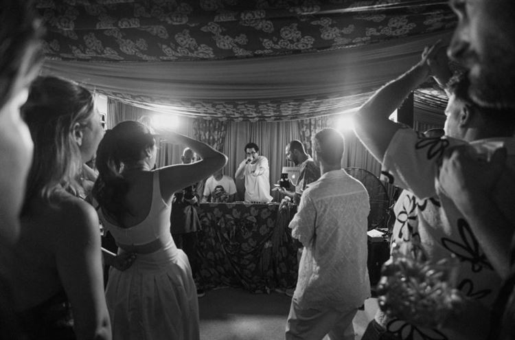 צילום: שני רייך