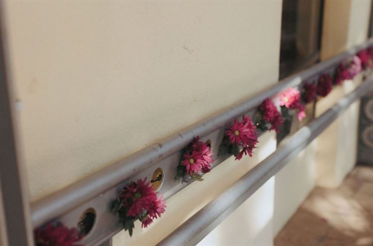 צילום: שני רייך