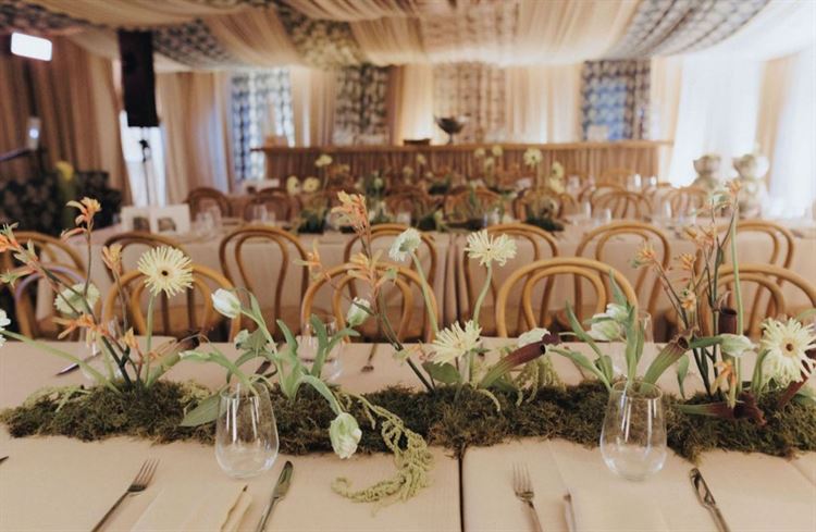 צילום: שני רייך