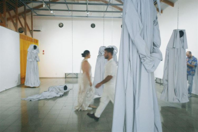 צילום: שני רייך