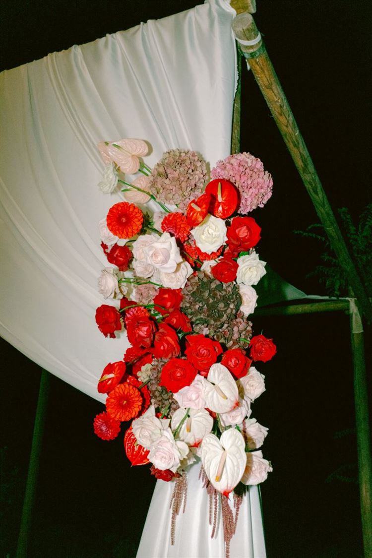 צילום: מושיקו טישלר