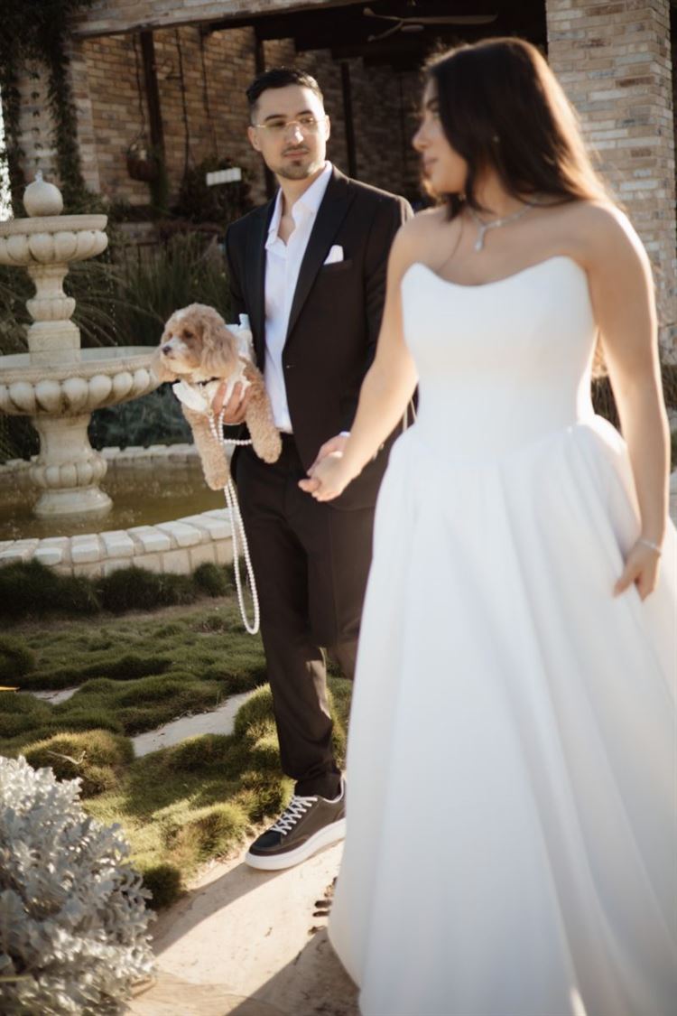 צילום: pic by lee