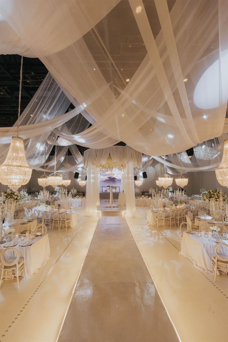 צילום: עידן חסון