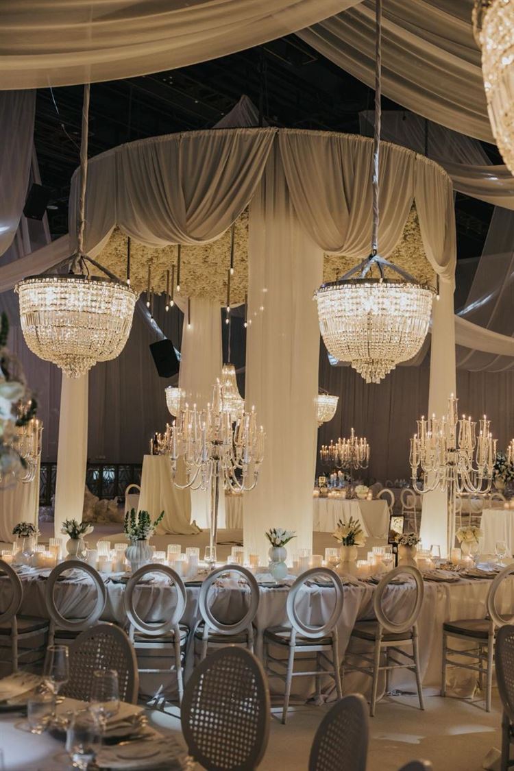 צילום: עידן חסון