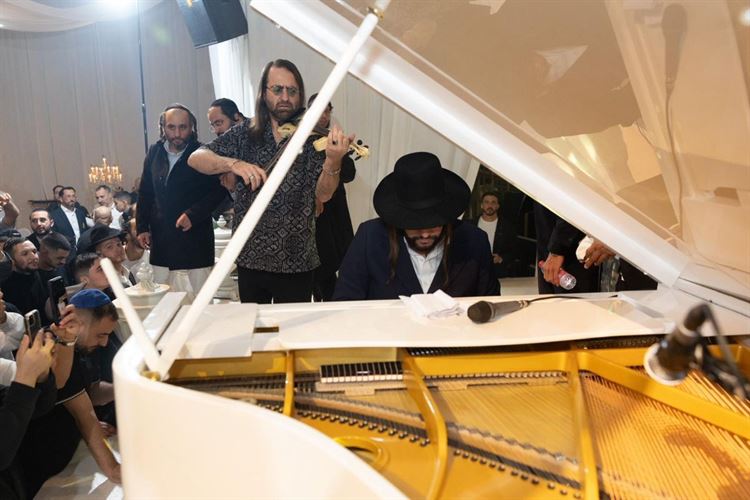 צילום: עידן חסון