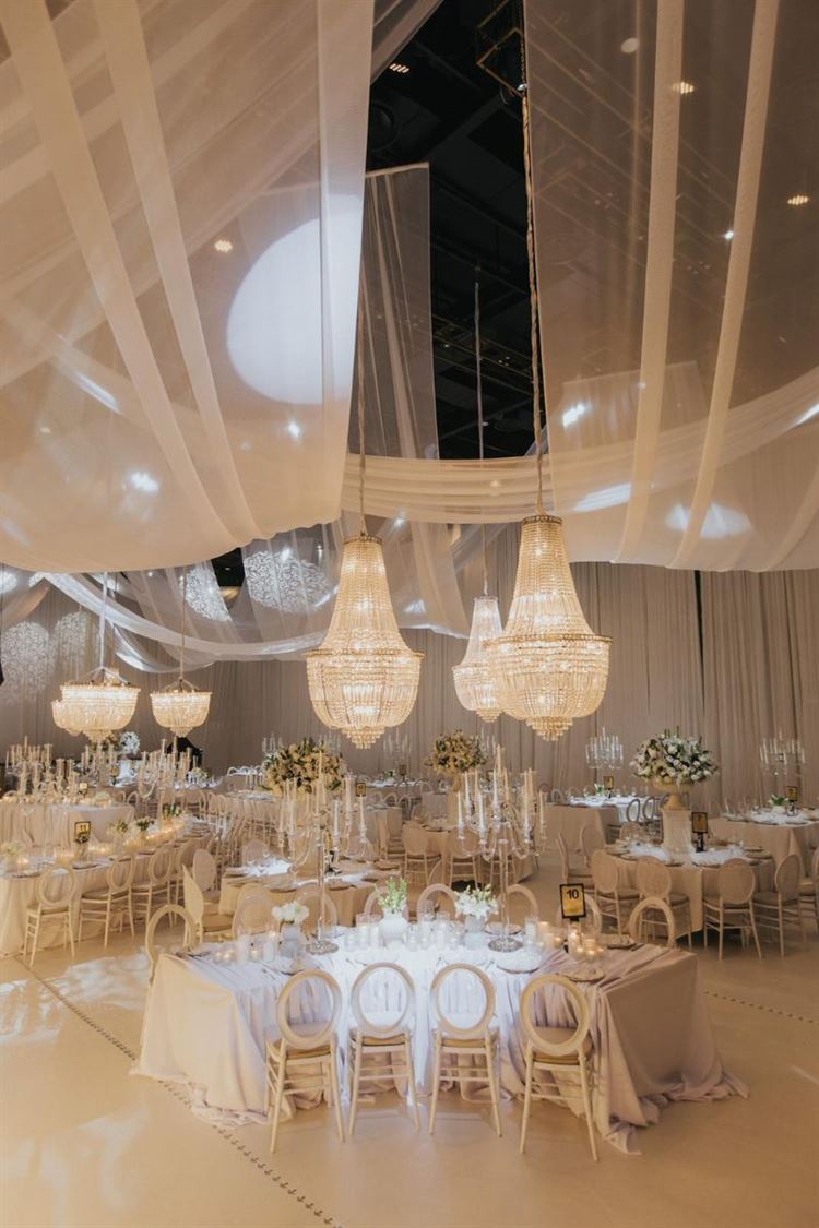 צילום: עידן חסון