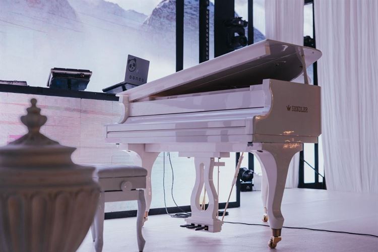 צילום: עידן חסון