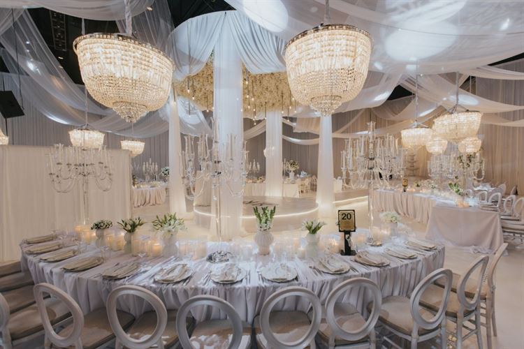 צילום: עידן חסון