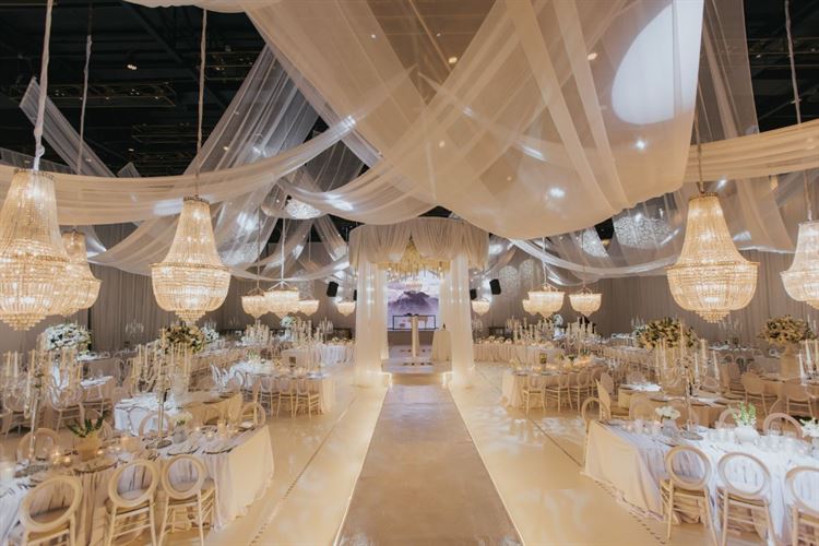 צילום: עידן חסון