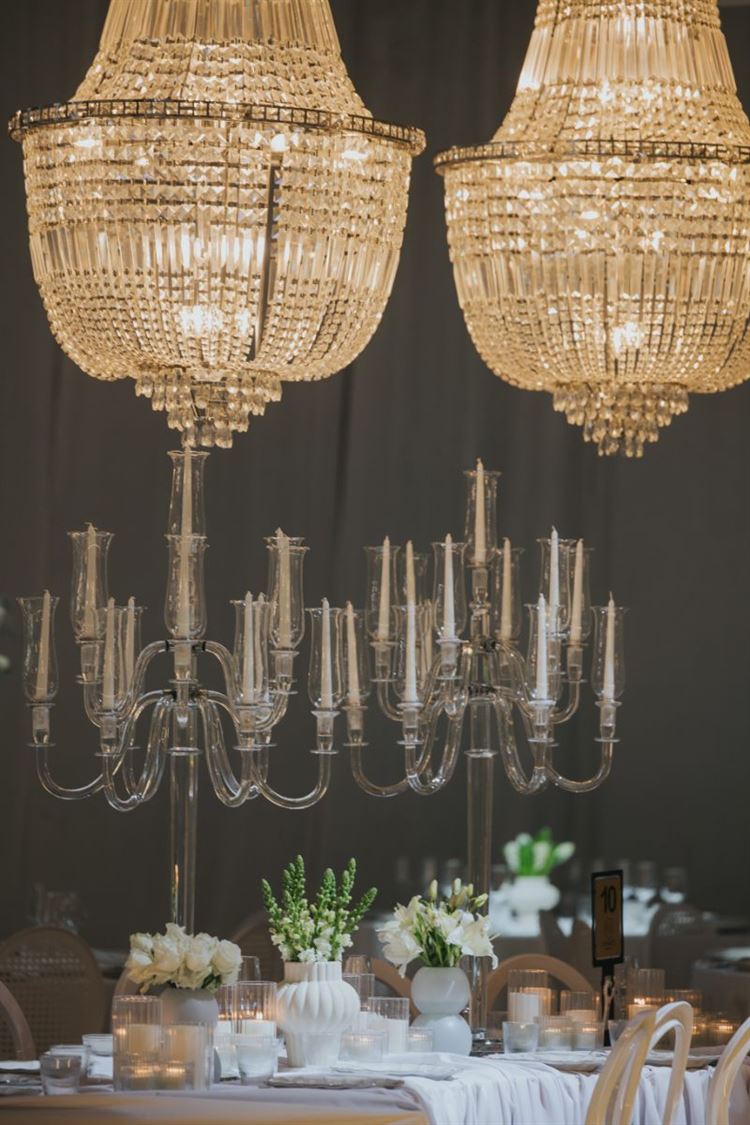 צילום: עידן חסון