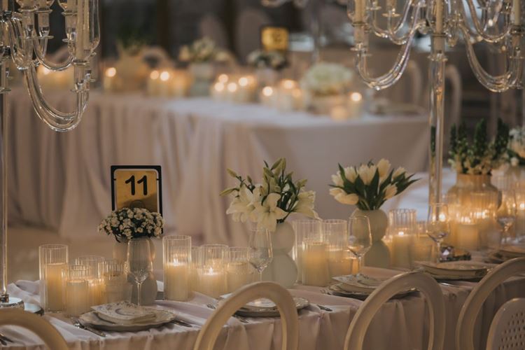 צילום: עידן חסון