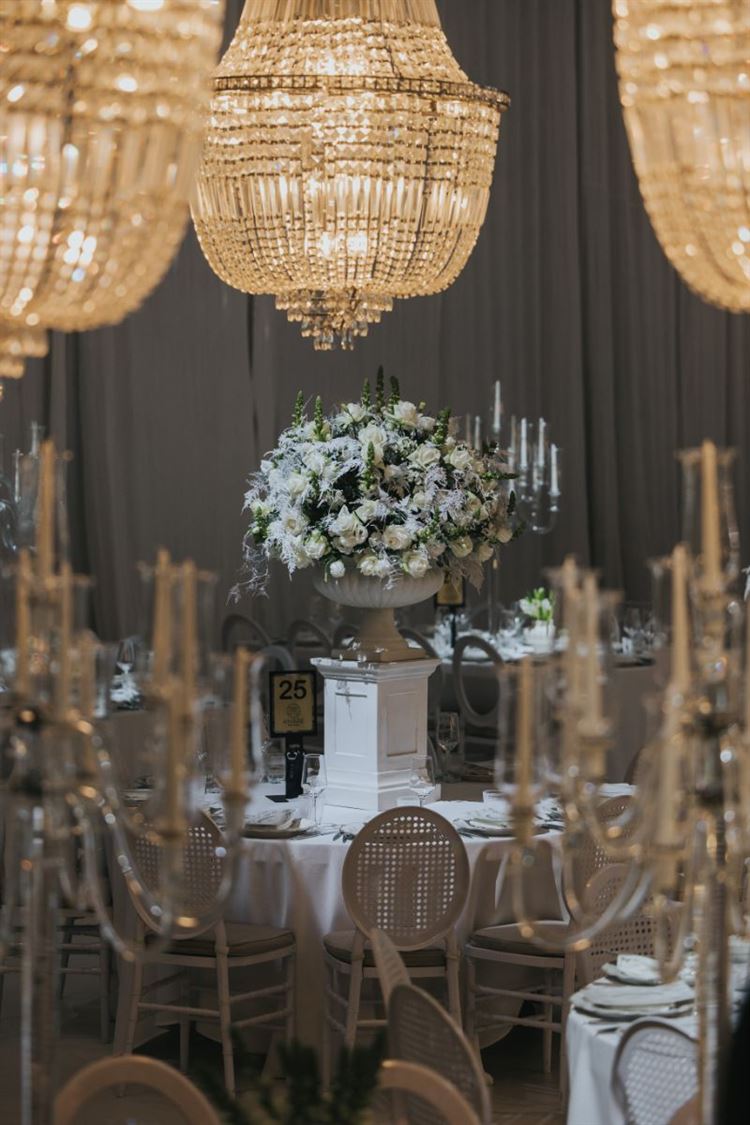 צילום: עידן חסון