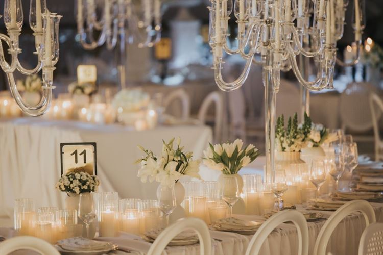 צילום: עידן חסון