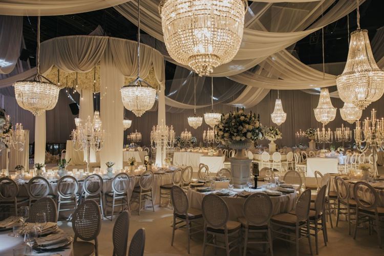 צילום: עידן חסון