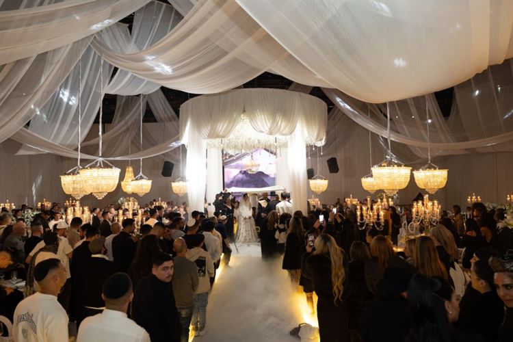 צילום: עידן חסון