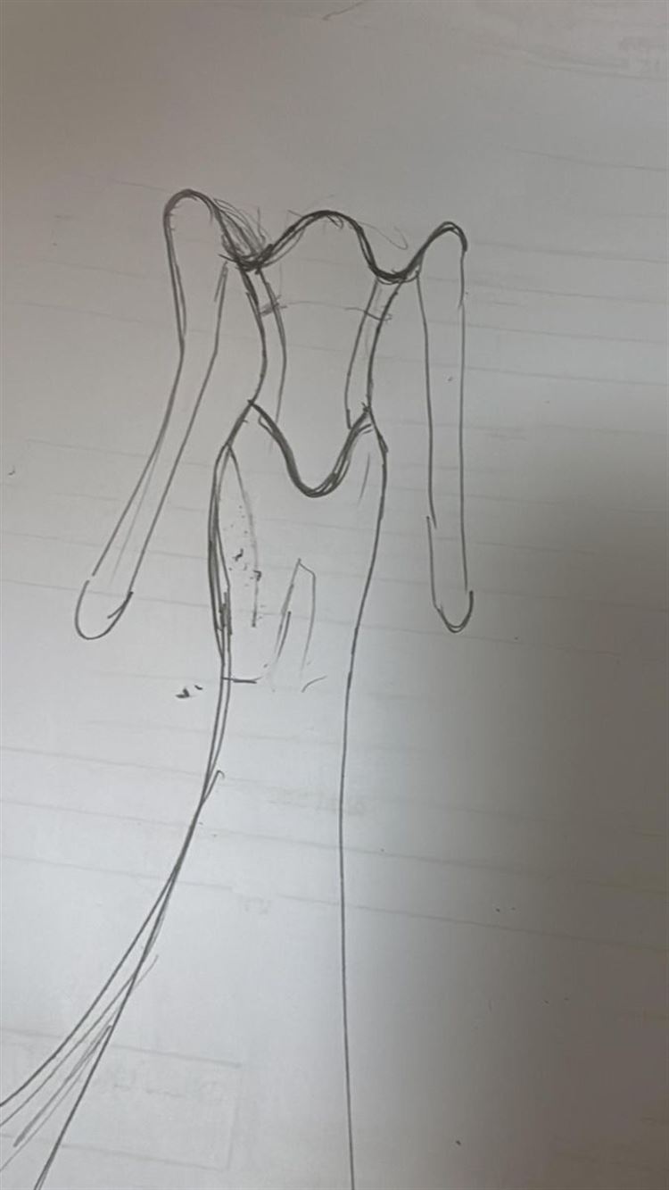 צילום: עידן חסון