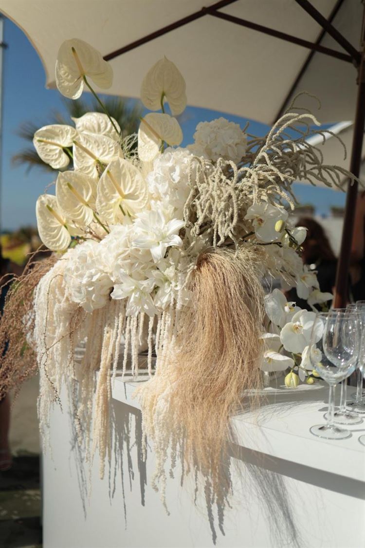 צילום: מור אלנקווה