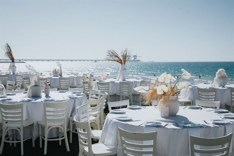 צילום: מור אלנקווה