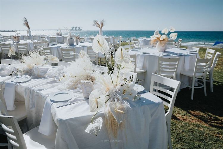 צילום: מור אלנקווה