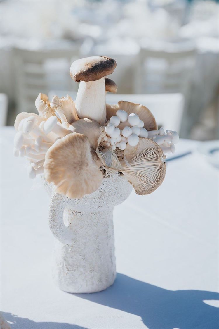 צילום: מור אלנקווה