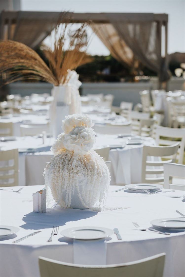 צילום: מור אלנקווה