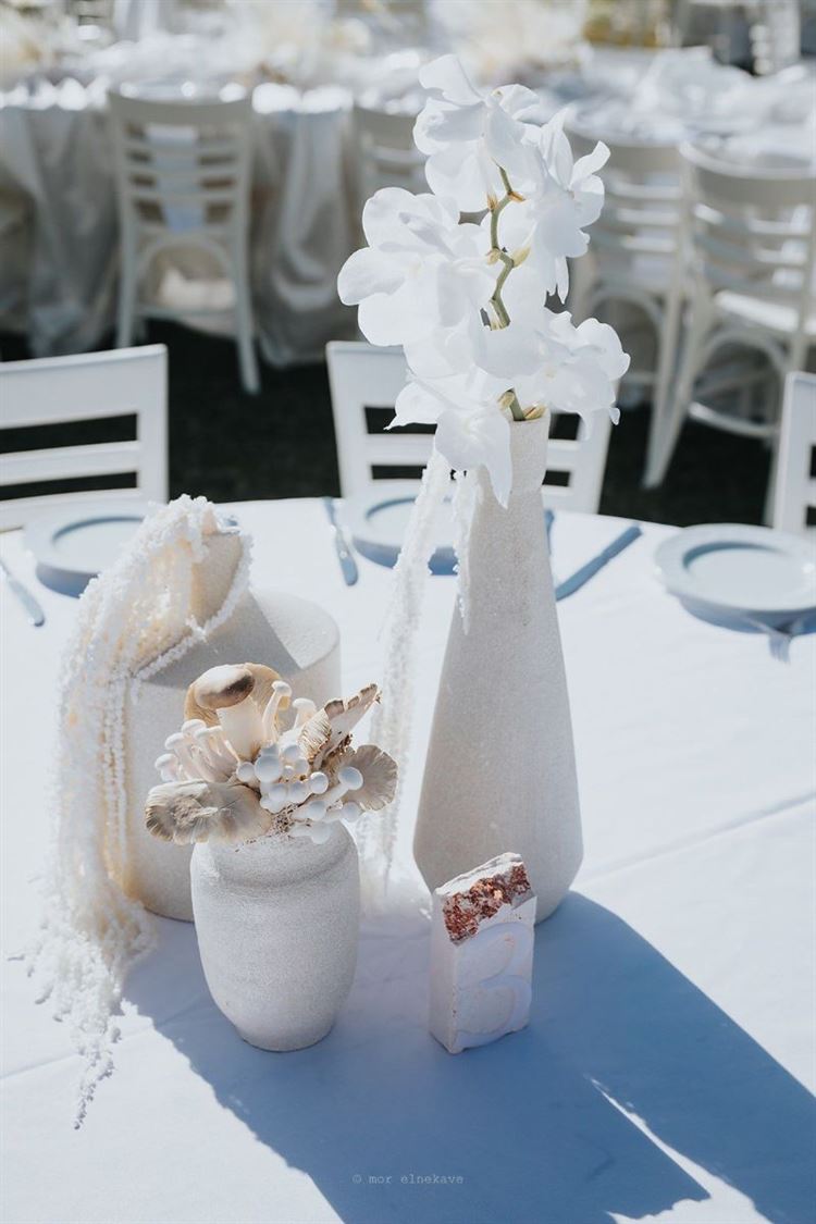 צילום: מור אלנקווה