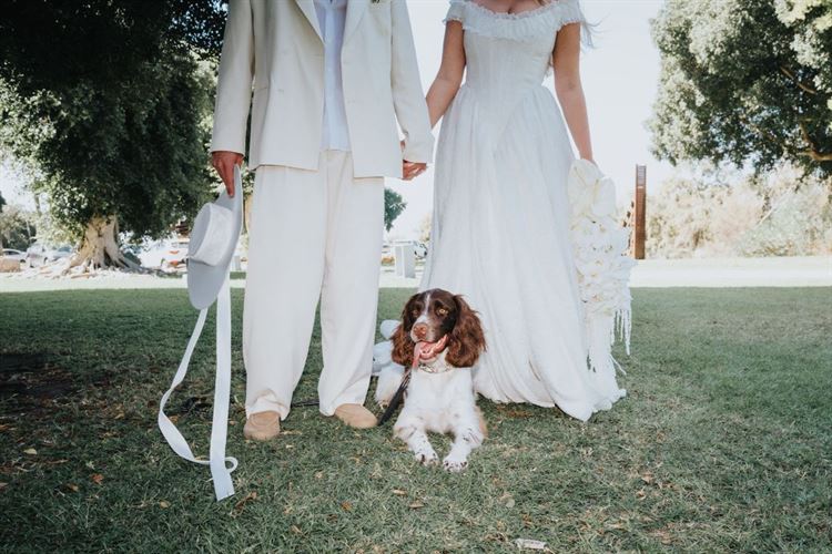 צילום: מור אלנקווה