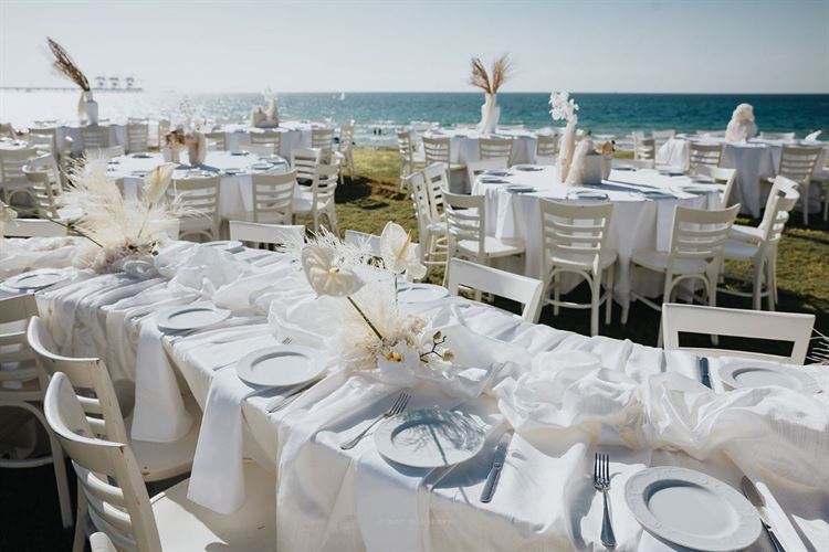 צילום: מור אלנקווה