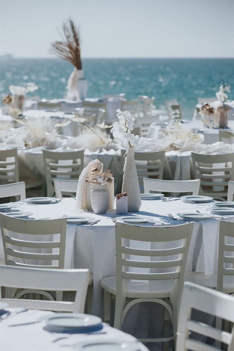 צילום: מור אלנקווה