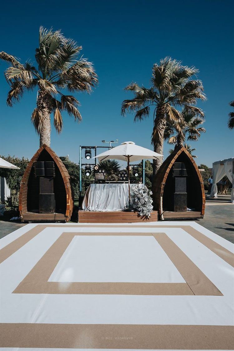 צילום: מור אלנקווה