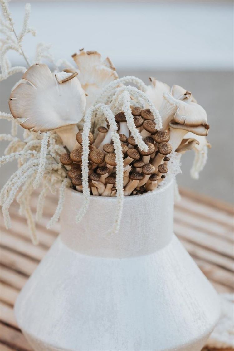 צילום: מור אלנקווה