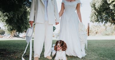 שונית אלמוגים, פיצה מעדנות ואהבה מהקליק הראשון: החתונה של אליי ורון