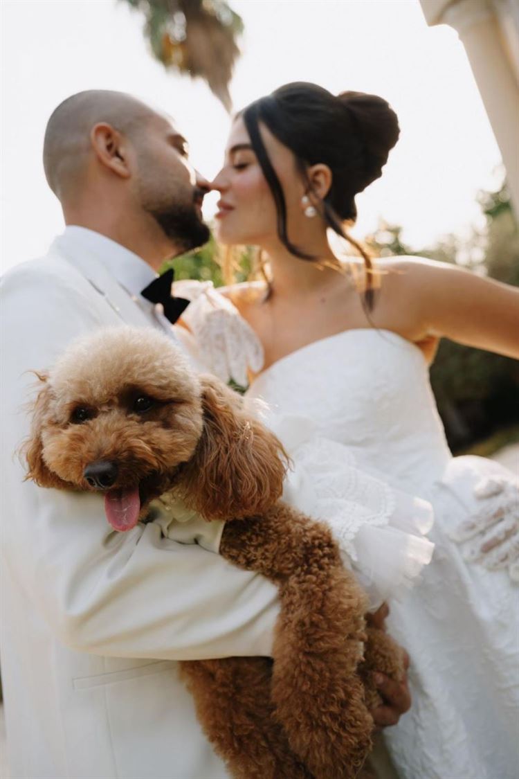 צילום: the bekhits photography