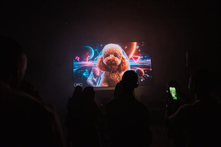 צילום: the bekhits photography