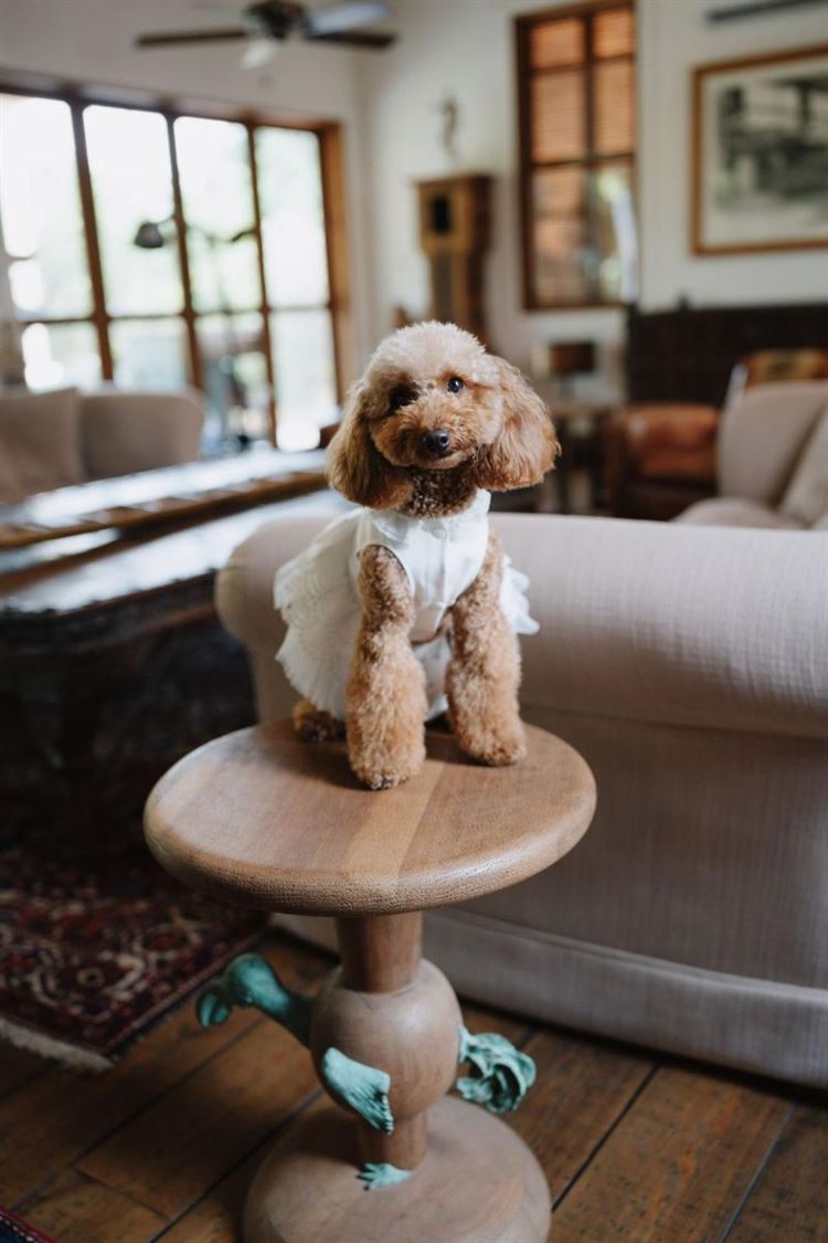 צילום: the bekhits photography