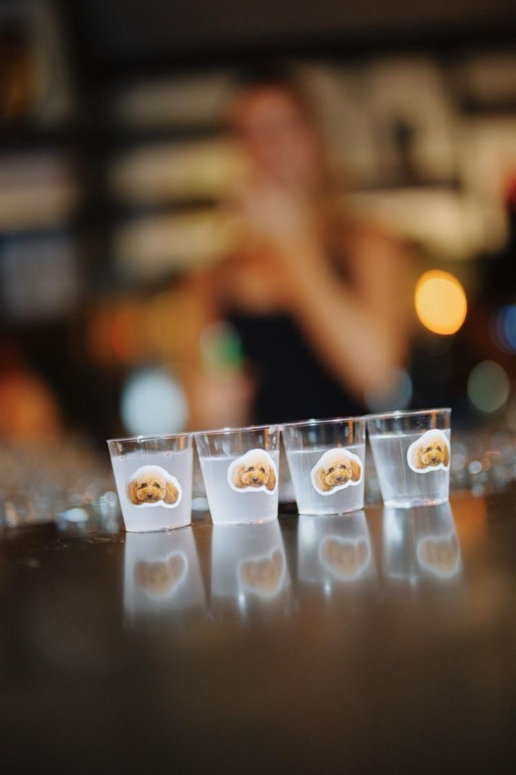 צילום: the bekhits photography