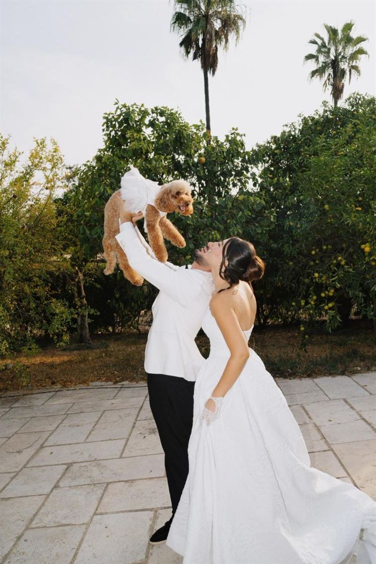 צילום: the bekhits photography