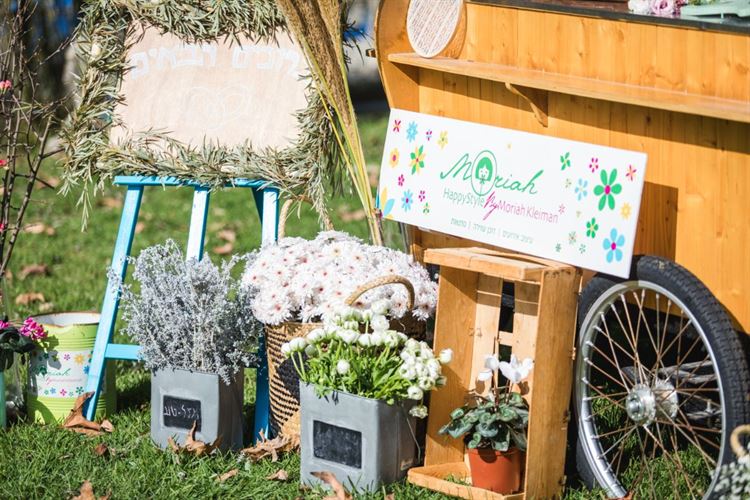 צילום: וואלה מזל טוב