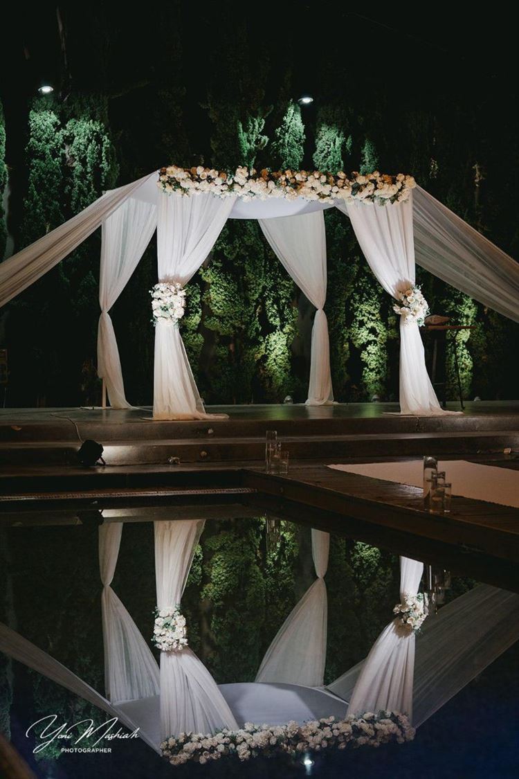 צילום: יוני משיח