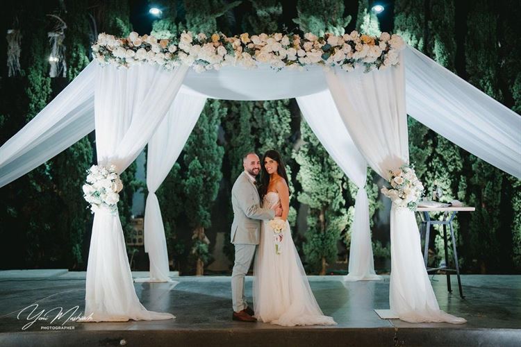 צילום: יוני משיח