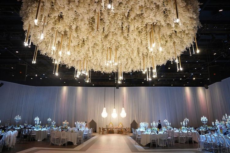 צילום: דודו אלפסי