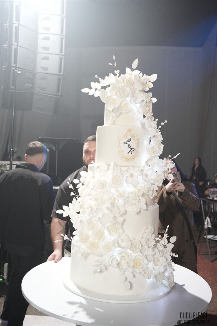 צילום: דודו אלפסי