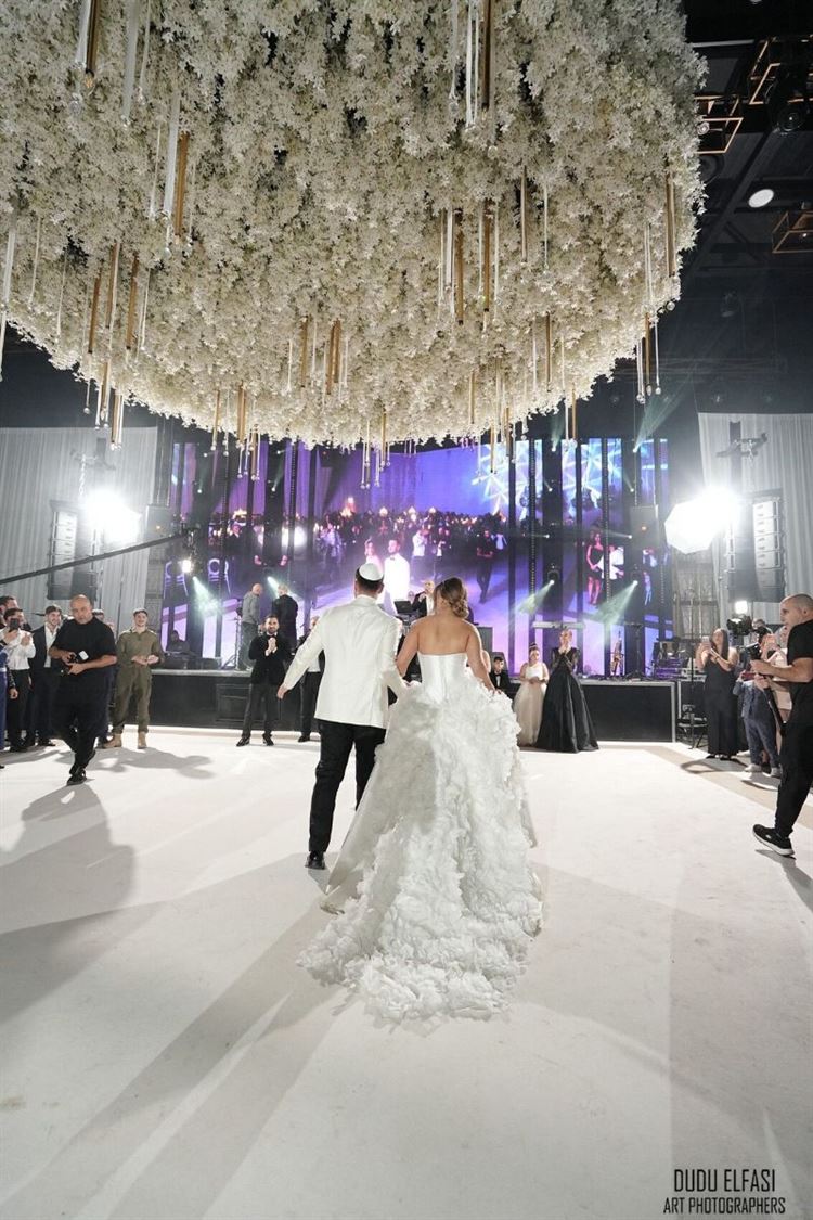 צילום: דודו אלפסי