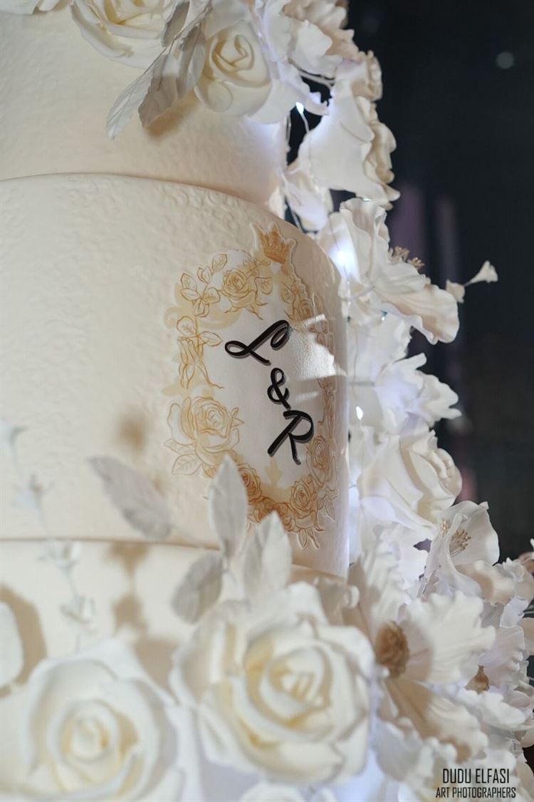 צילום: דודו אלפסי