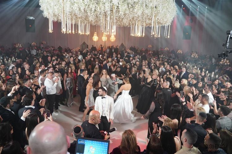 צילום: דודו אלפסי