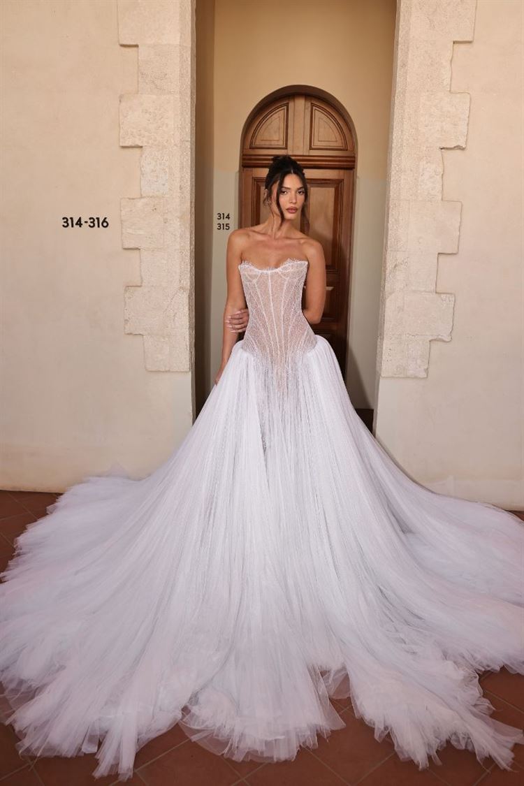 צילום: דור סויסה