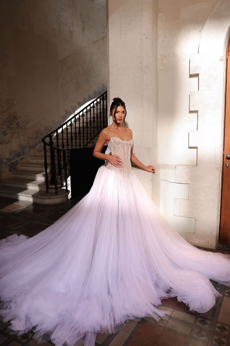 צילום: דור סויסה