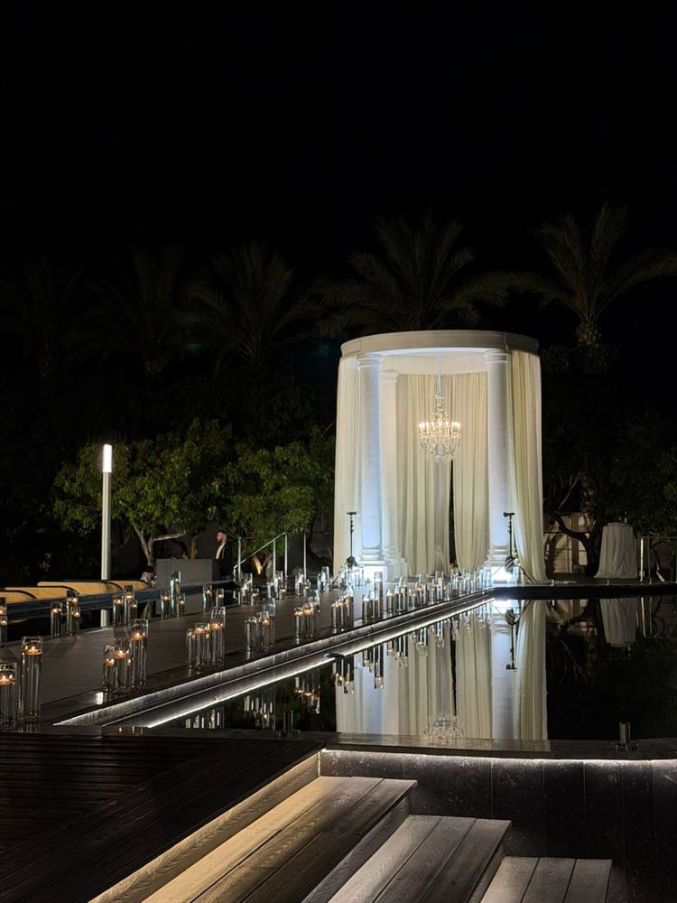 צילום: alin.social